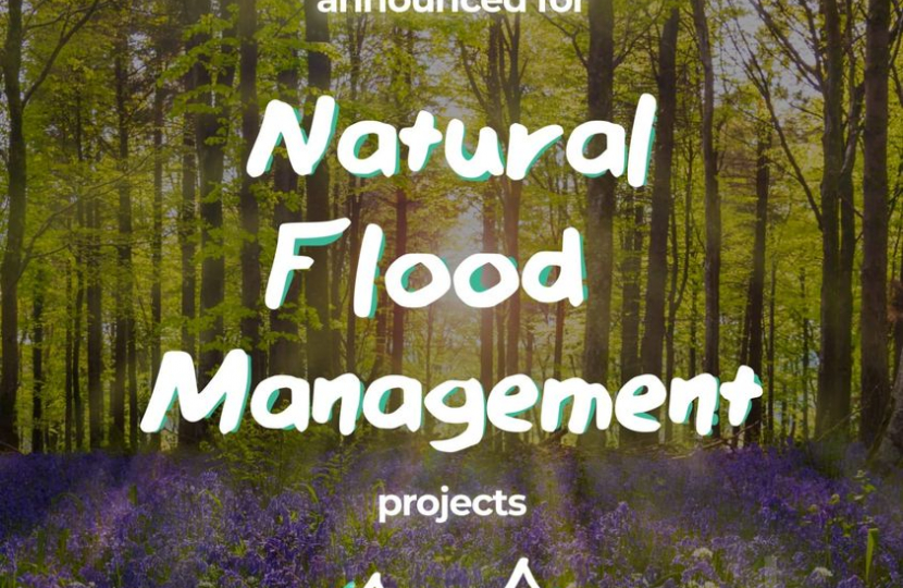 Environment Agency Image for Natural Flood Management 